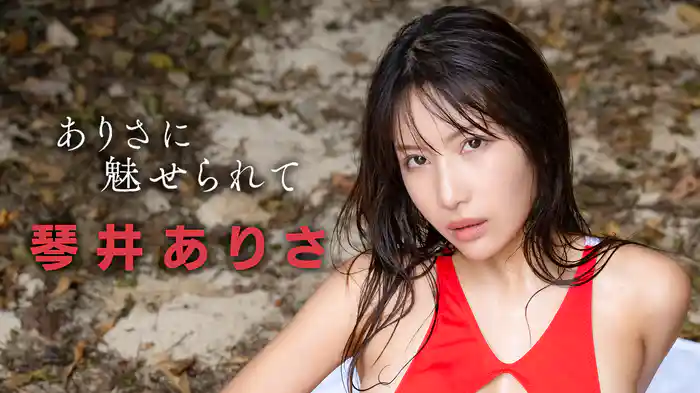 琴井ありさ『ありさに魅せられて』