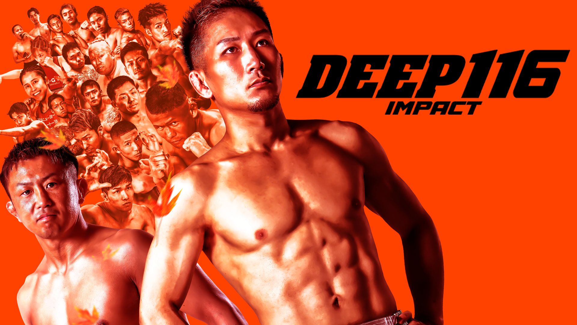 DEEP 116 IMPACT