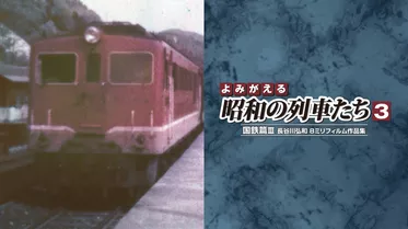 よみがえる昭和の列車たち3 国鉄篇3