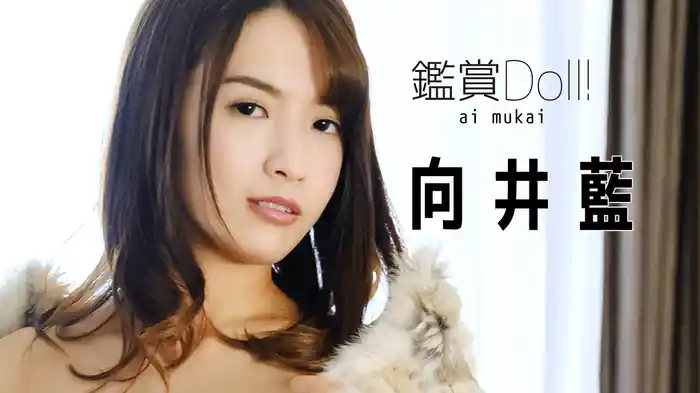 向井藍『鑑賞 Doll ！』