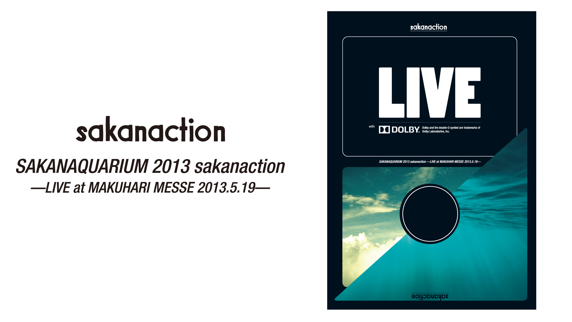 SAKANAQUARIUM 2013 sakanaction -LIVE at MAKUHARI MESSE 2013.5.19-(音楽・アイドル /  2013) - 動画配信 | U-NEXT 31日間無料トライアル