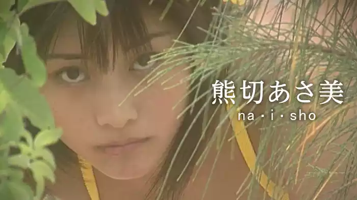 熊切あさ美『na･i･sho』