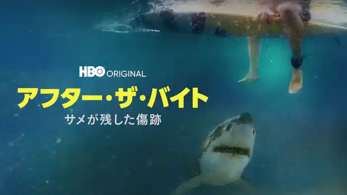 アフター・ザ・バイト / サメが残した傷跡