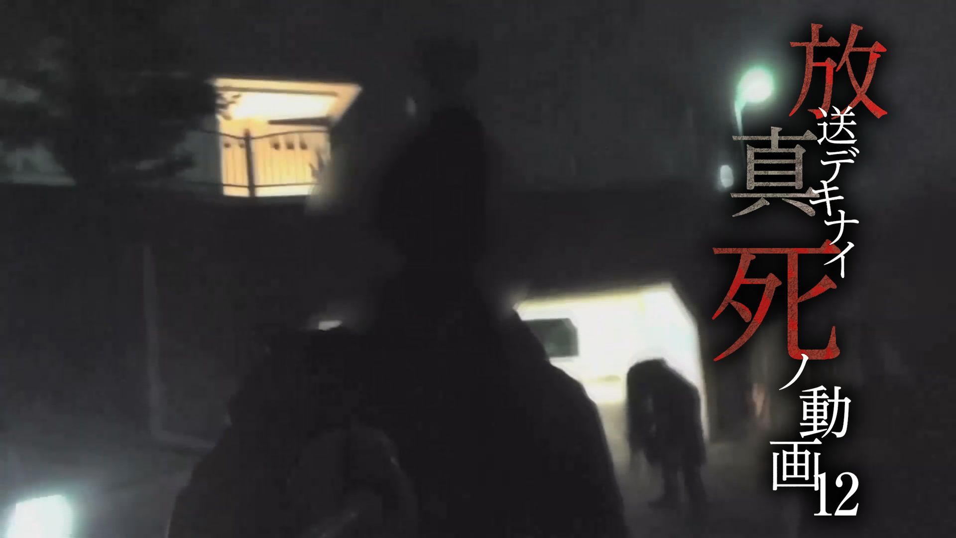放送デキナイ 真・死ノ動画 12