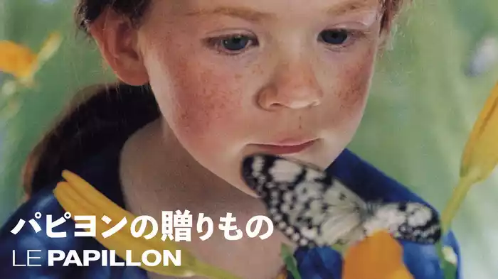 パピヨンの贈りもの