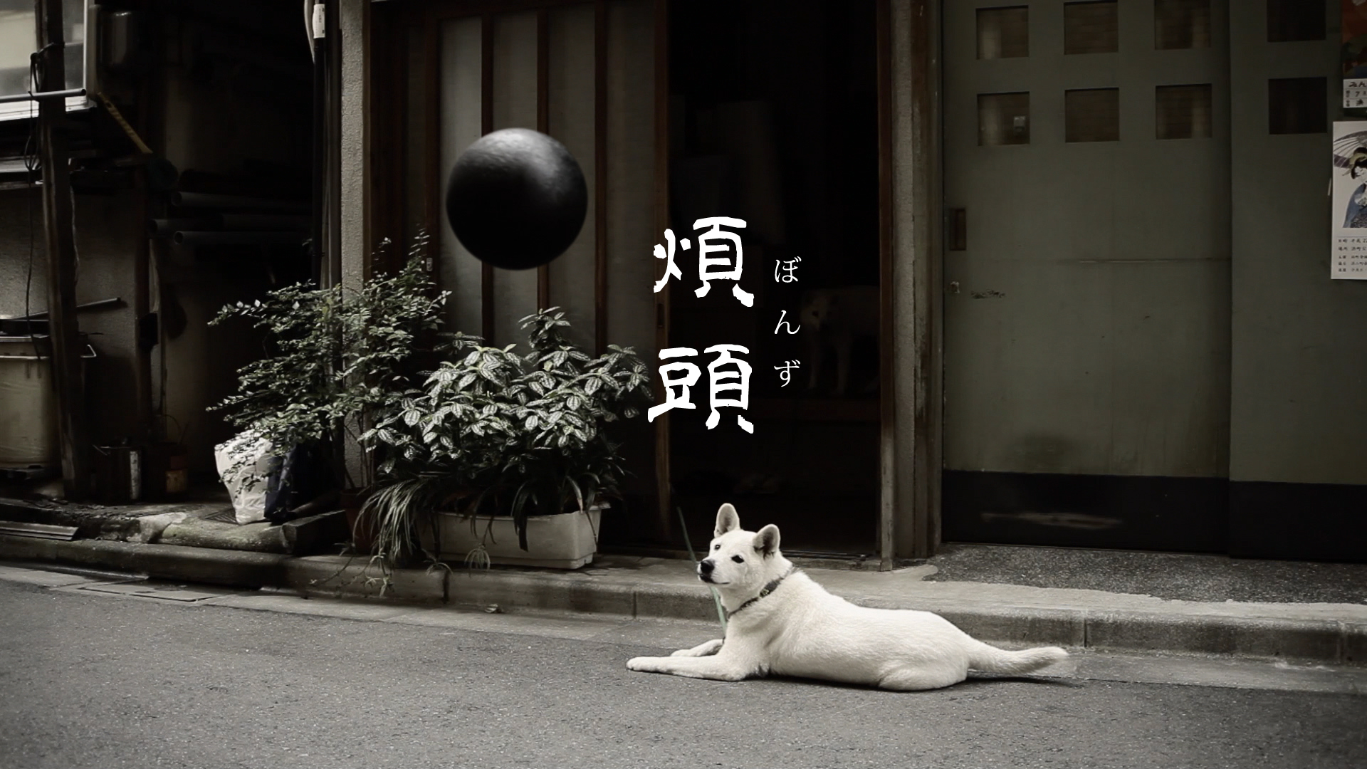 煩頭 - サムネイル