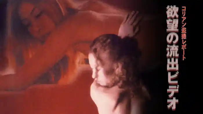 コリアン盗撮レポート　欲望の流出ビデオ