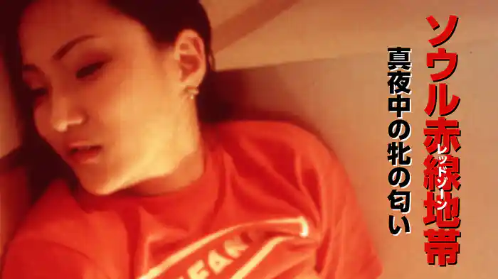 ソウル赤線地帯　真夜中の牝の匂い