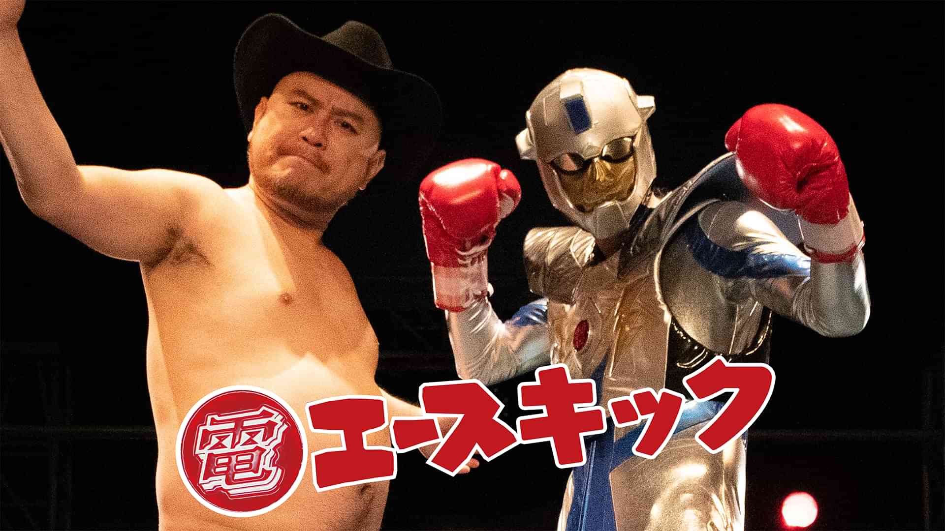 電エースキック