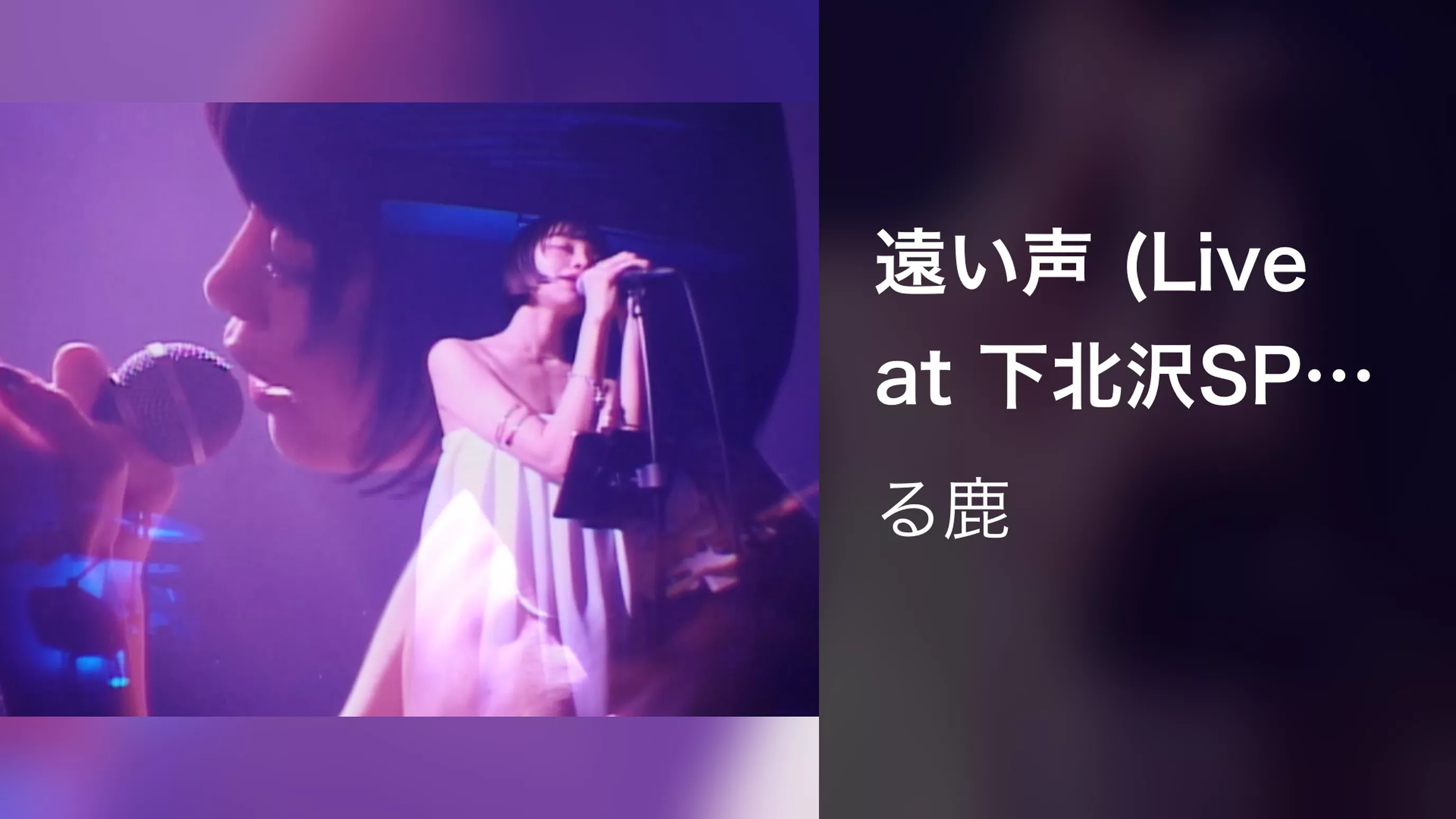 遠い声 (Live at 下北沢SPREAD 2023/12/16)