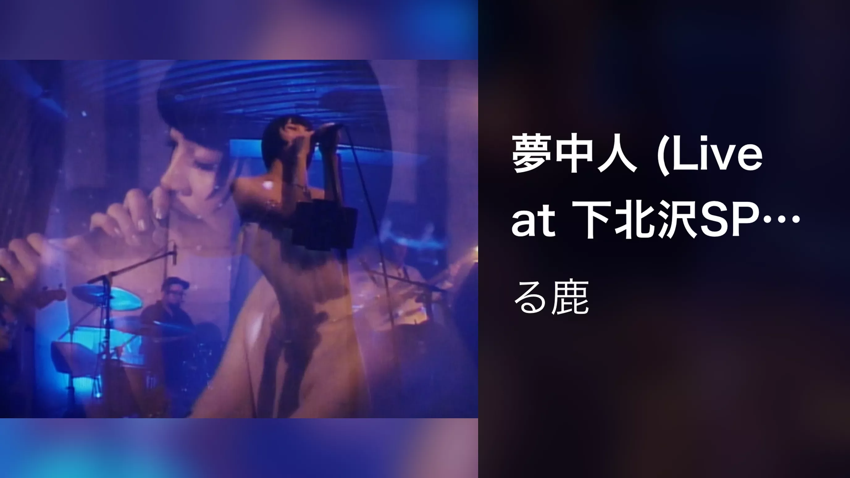 夢中人 (Live at 下北沢SPREAD 2023/12/16)