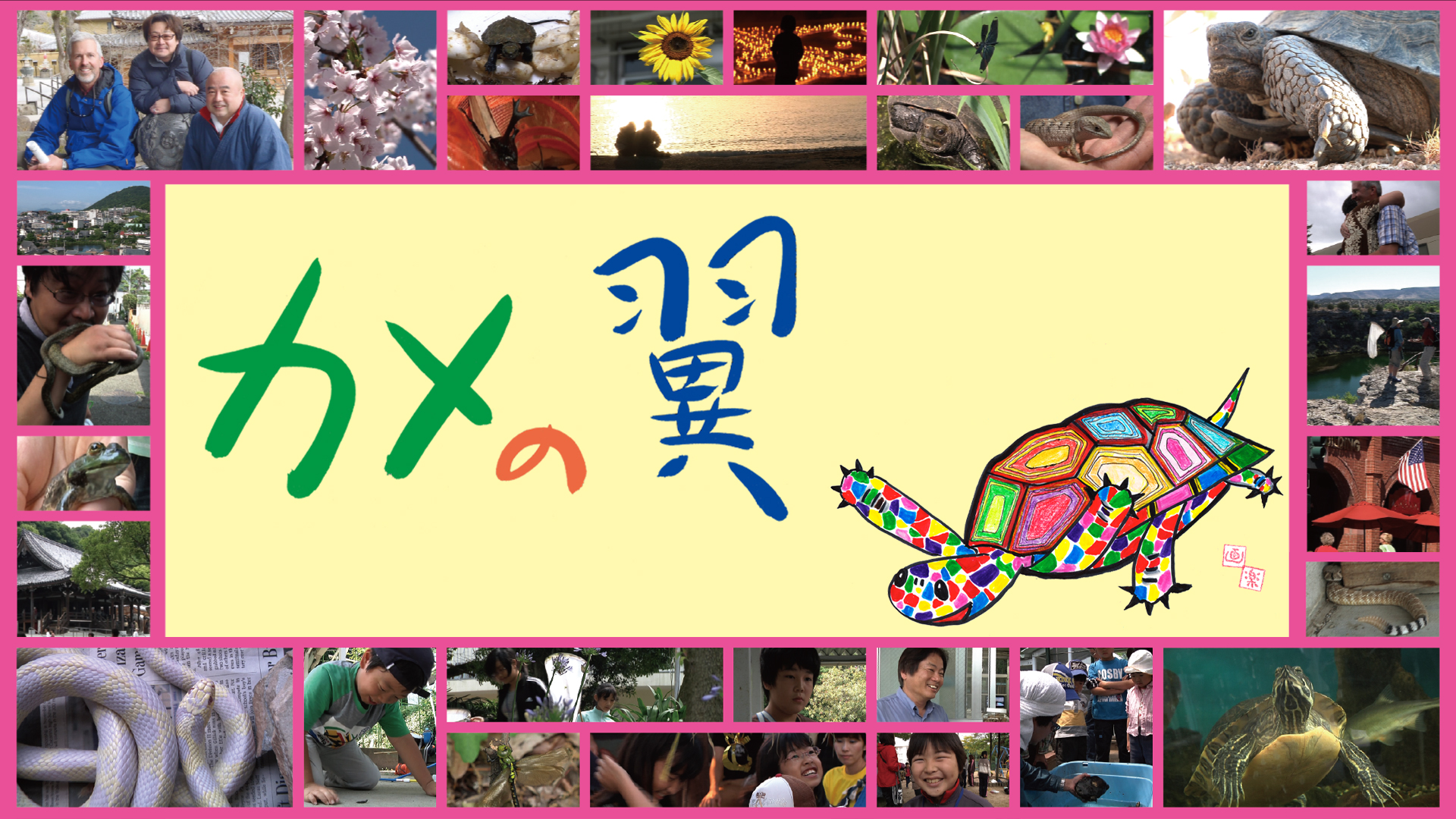 カメの翼 - サムネイル