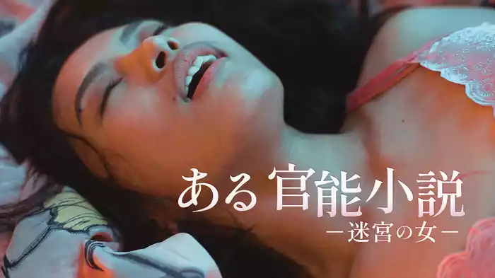 ある官能小説 -迷宮の女‐