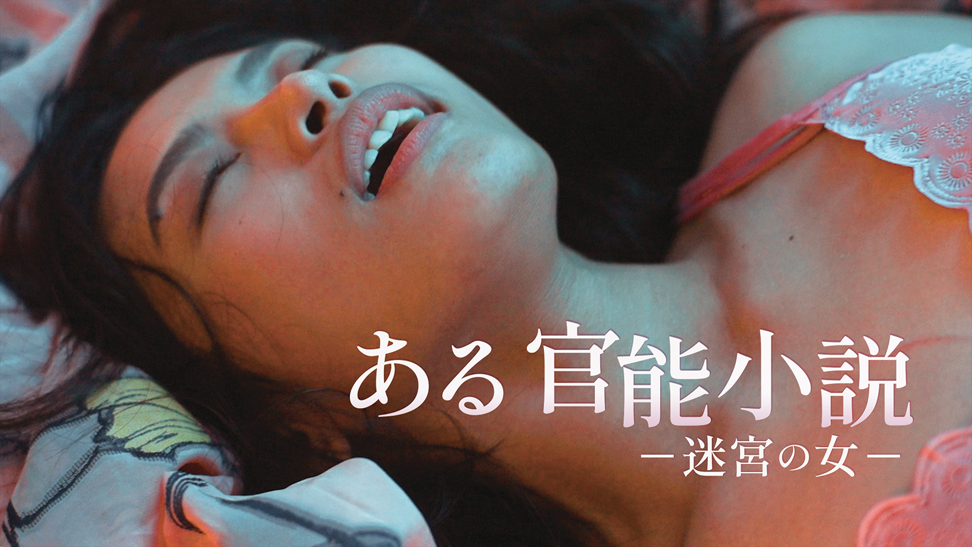ある官能小説 -迷宮の女‐ - サムネイル