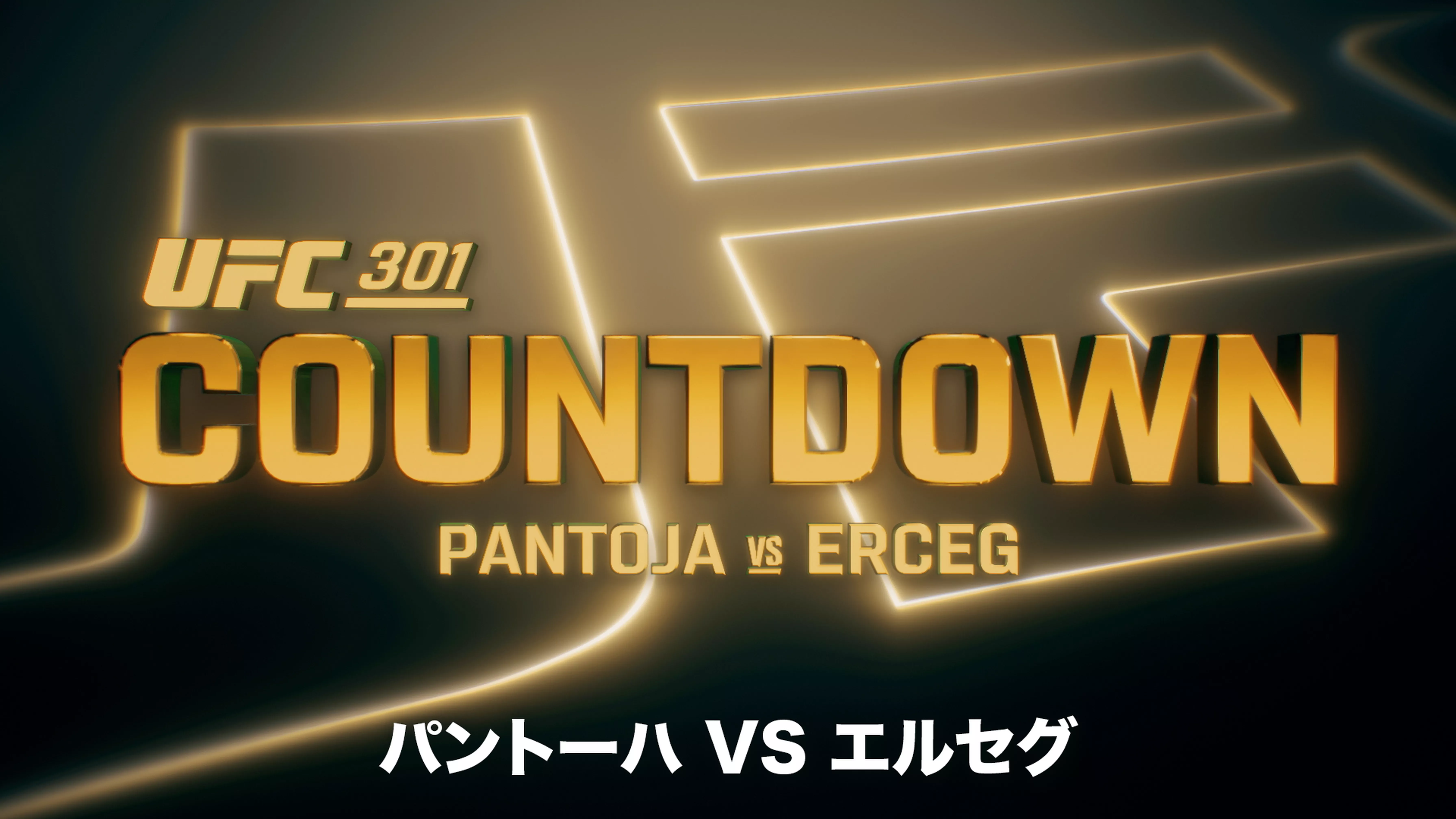 UFC カウントダウン 301:パントーハ vs. エルセグ