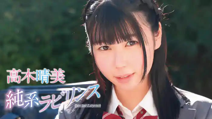 高木晴美『純系ラビリンス』