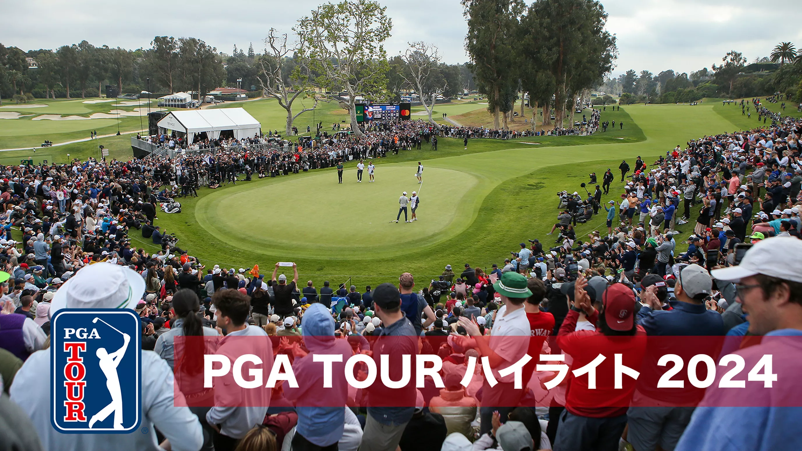 PGA TOUR ハイライト 2024