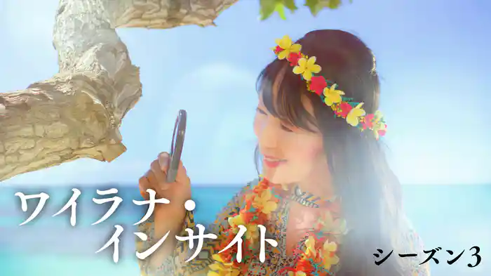 ワイラナ・インサイト シーズン3