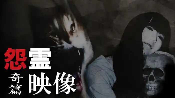 怨霊映像　奇篇