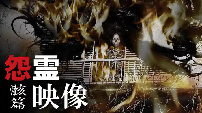 怨霊映像　骸篇