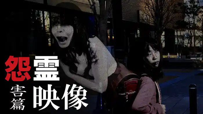 怨霊映像　害篇