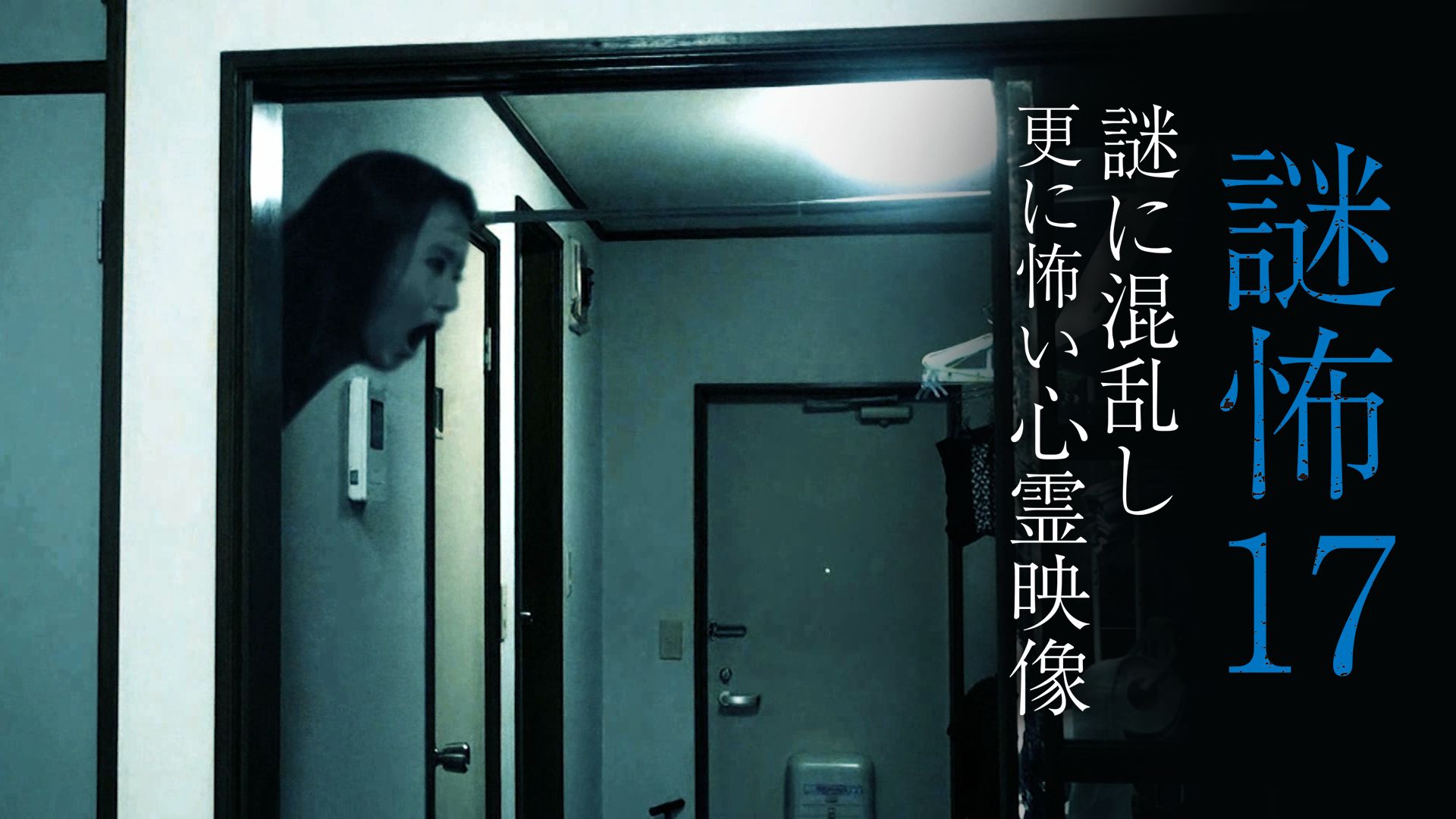 謎怖17 謎に混乱し更に怖い心霊映像