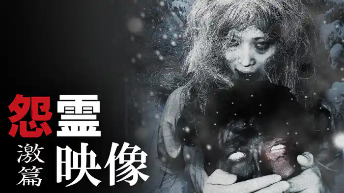 怨霊映像　激篇