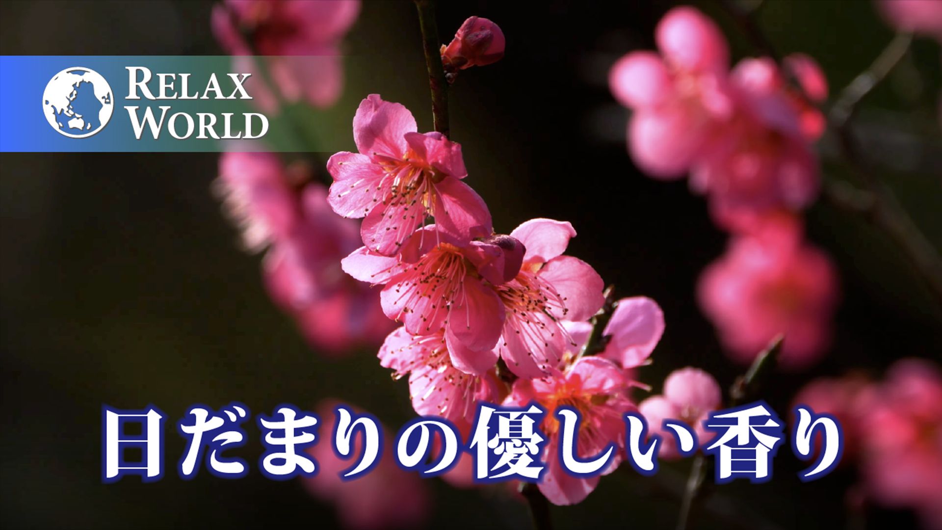 日だまりの優しい香り【RELAX WORLD】