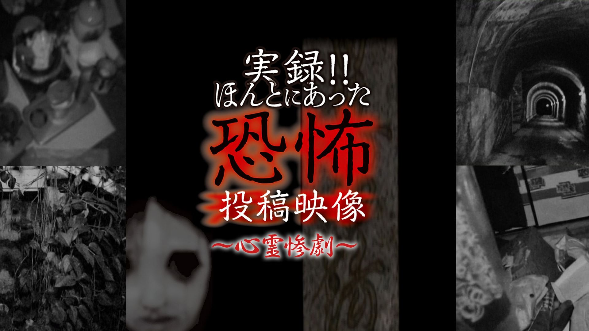 実録?ほんとにあった恐怖の投稿映像 〜心霊惨劇〜