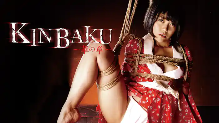 ＫＩＮＢＡＫＵ～華の章～
