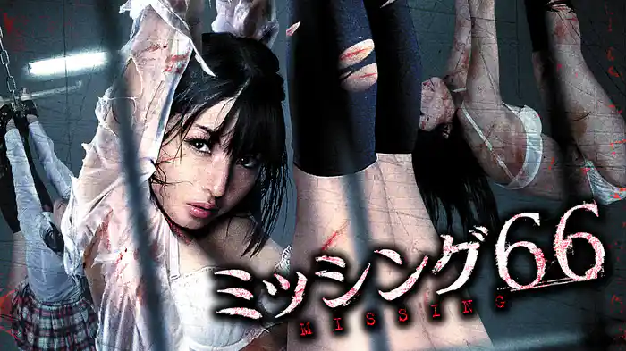 ミッシング６６