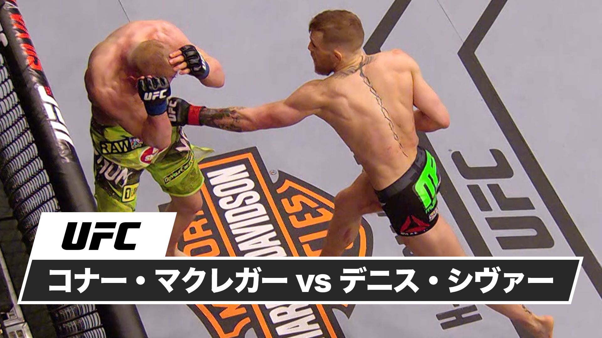 コナー・マクレガー vs デニス・シヴァー
