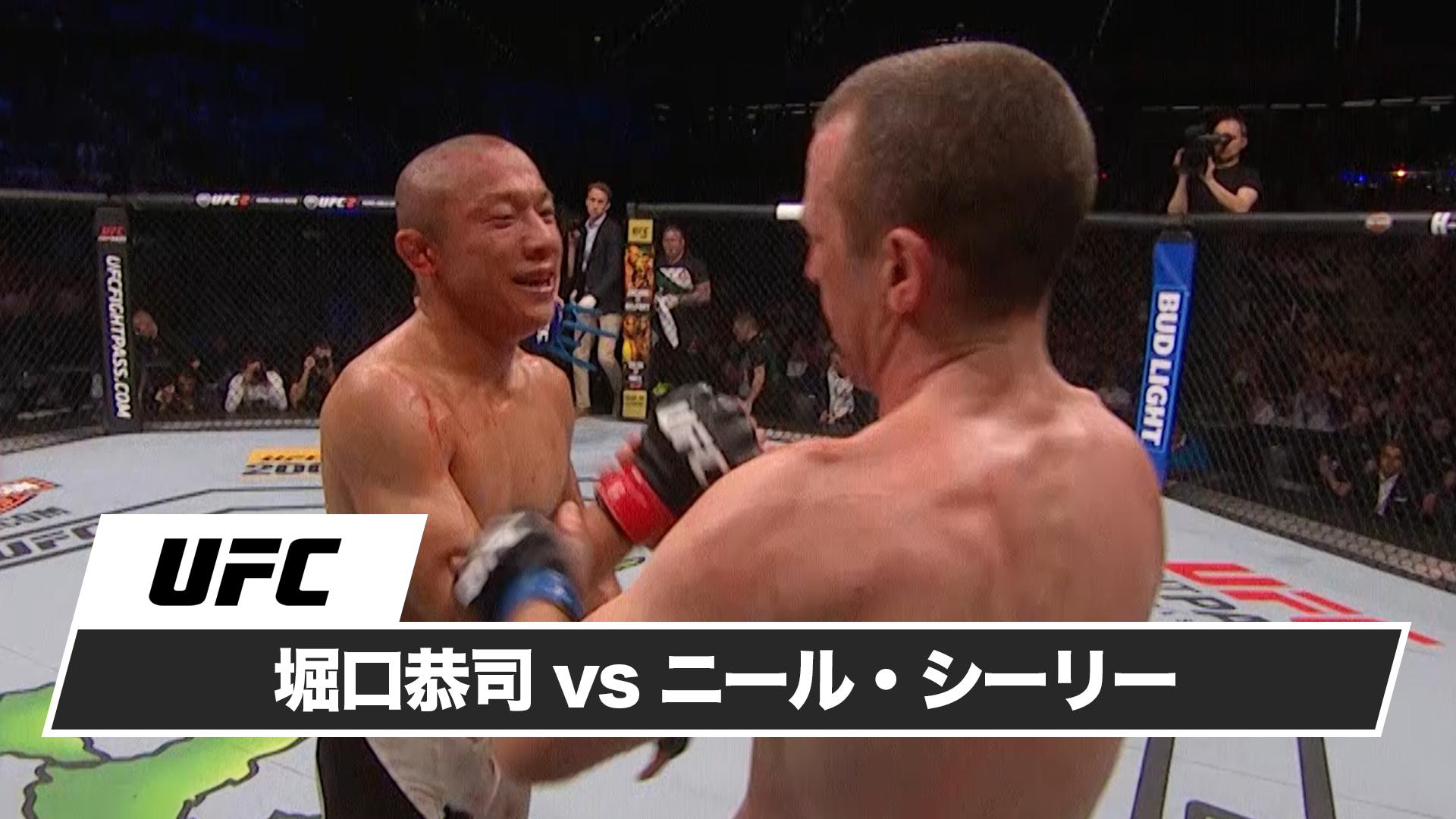 堀口恭司 vs ニール・シーリー(格闘技 / 2016) - 動画配信 | U-NEXT 31日間無料トライアル