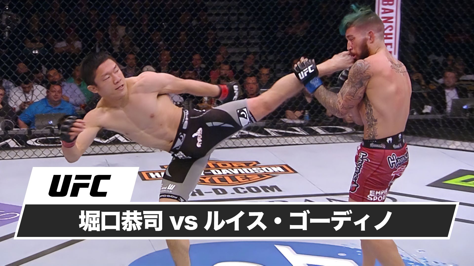 堀口恭司 vs ルイス・ゴーディノ