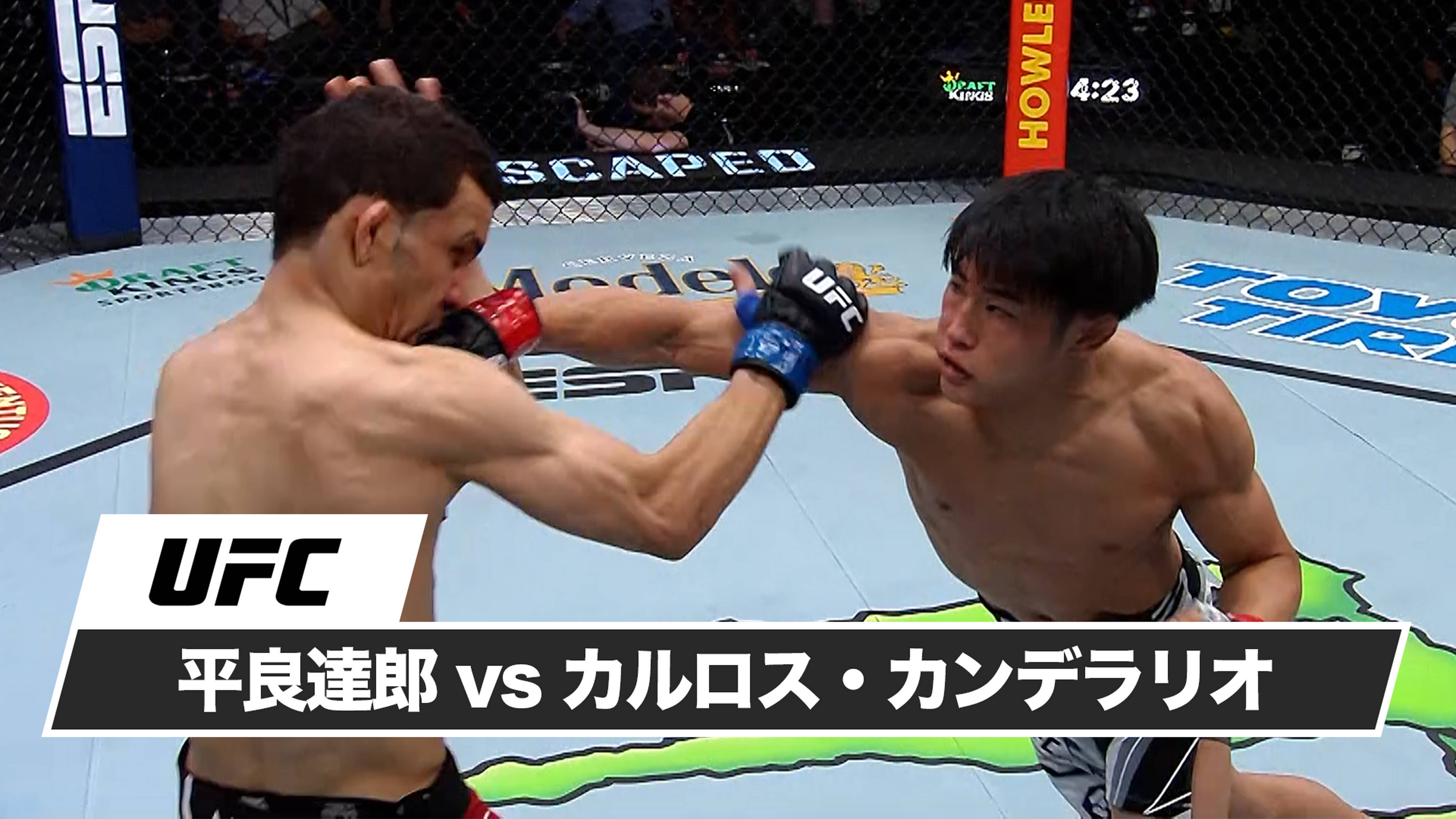 【UFC】世界最高峰の総合格闘技