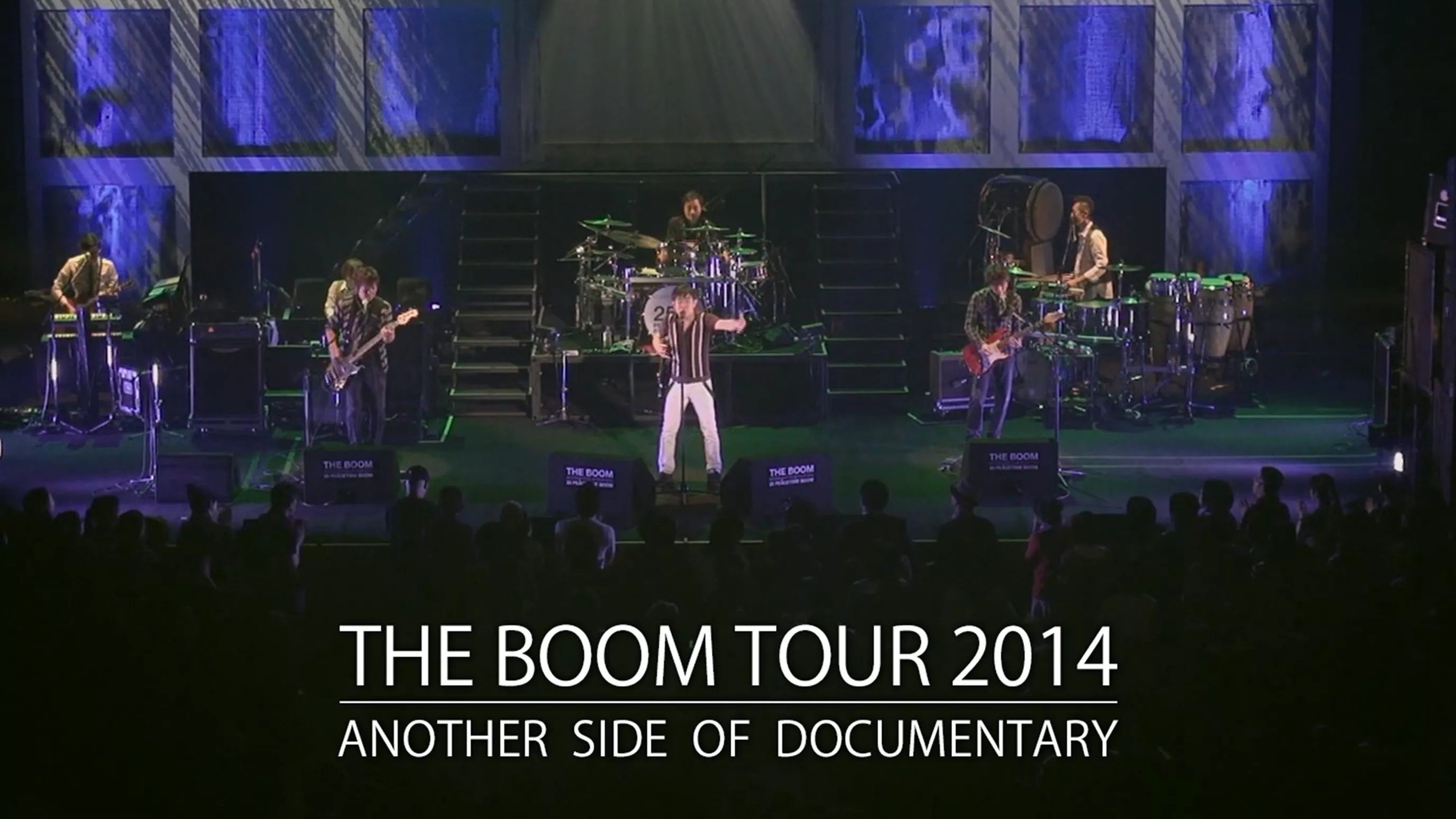 THE BOOM TOUR 2014 ANOTHER SIDE OF DOCUMENTARY
