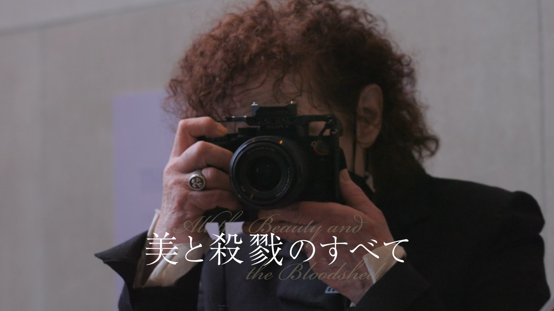 美と殺戮のすべて
