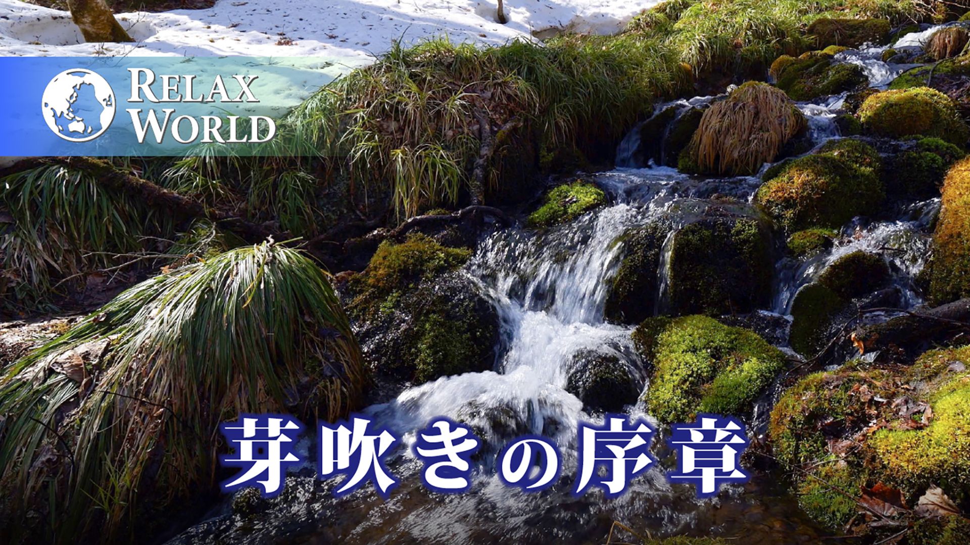 芽吹きの序章【RELAX WORLD】