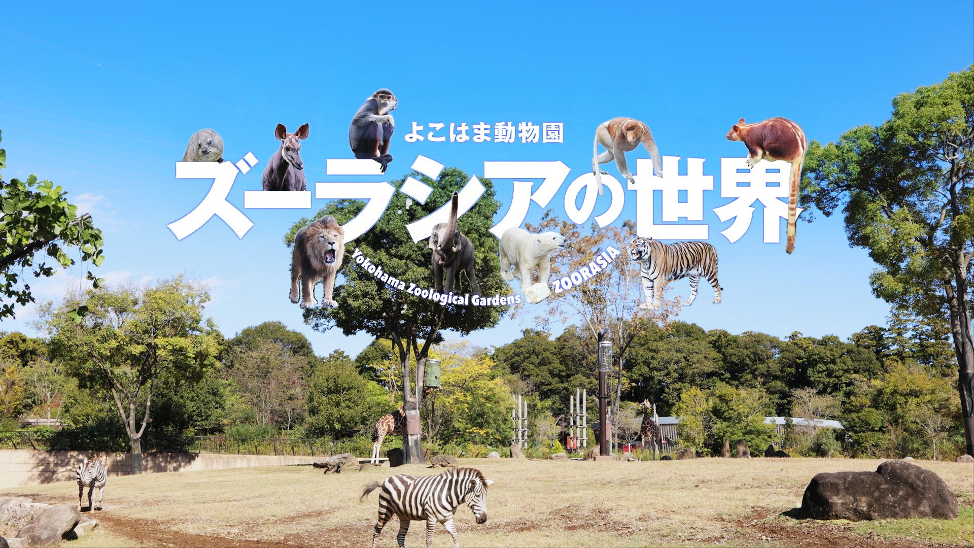 よこはま動物園ズーラシアの世界
