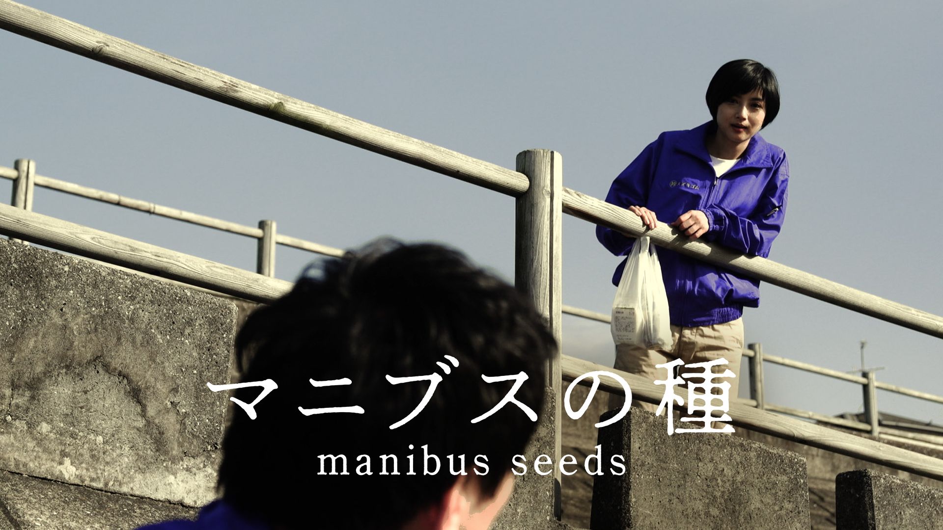 マニブスの種