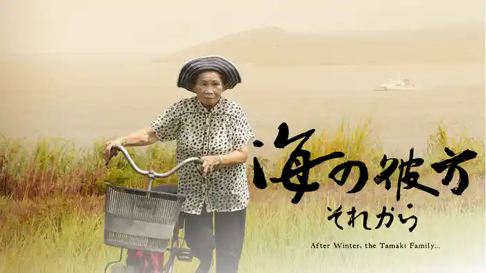 海の彼方 それから