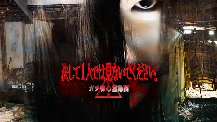 決して１人では見ないでください。　ガチ怖心霊動画