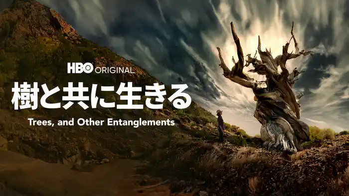 樹と共に生きる