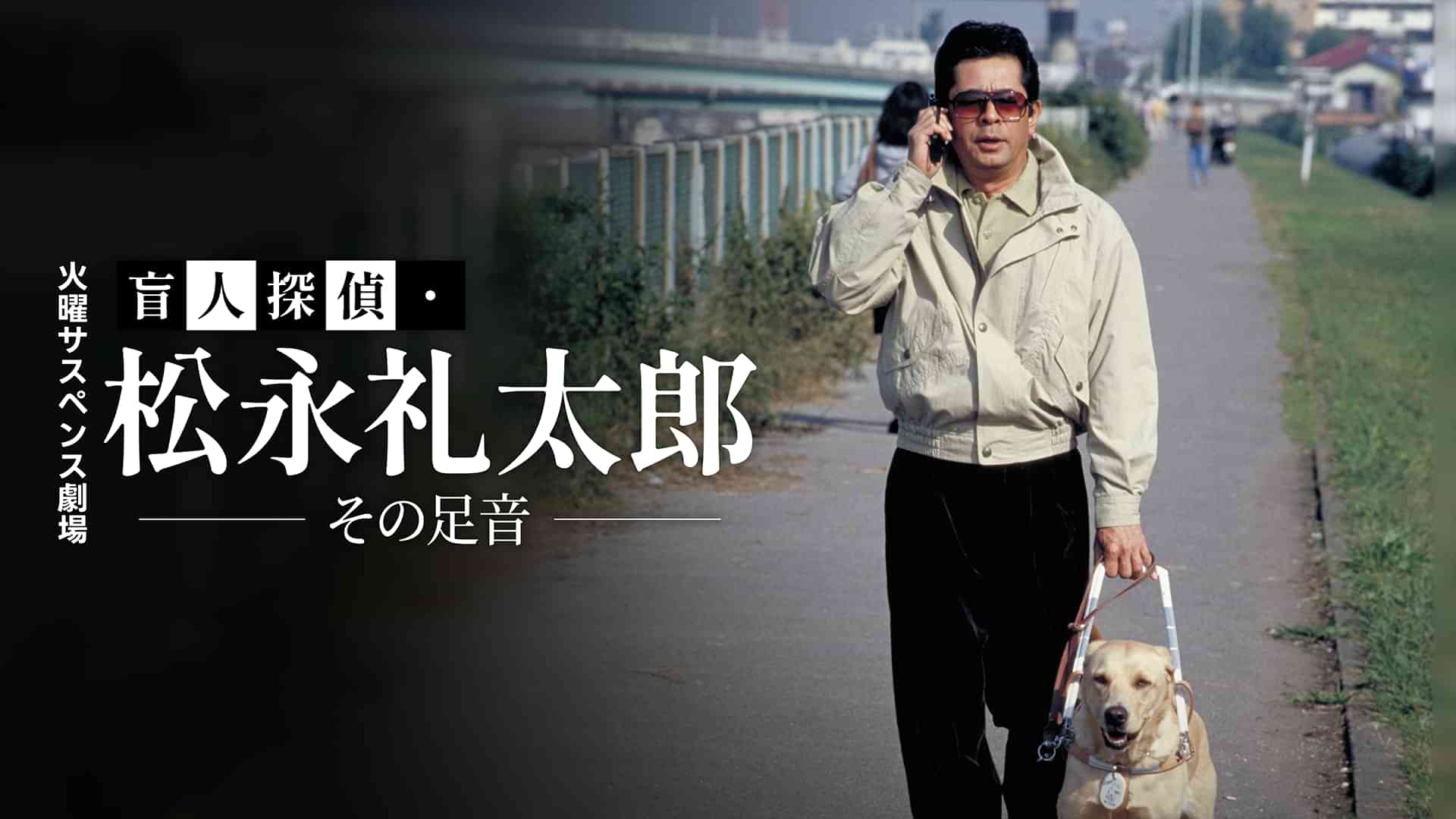 火曜サスペンス劇場　盲人探偵・松永礼太郎　その足音