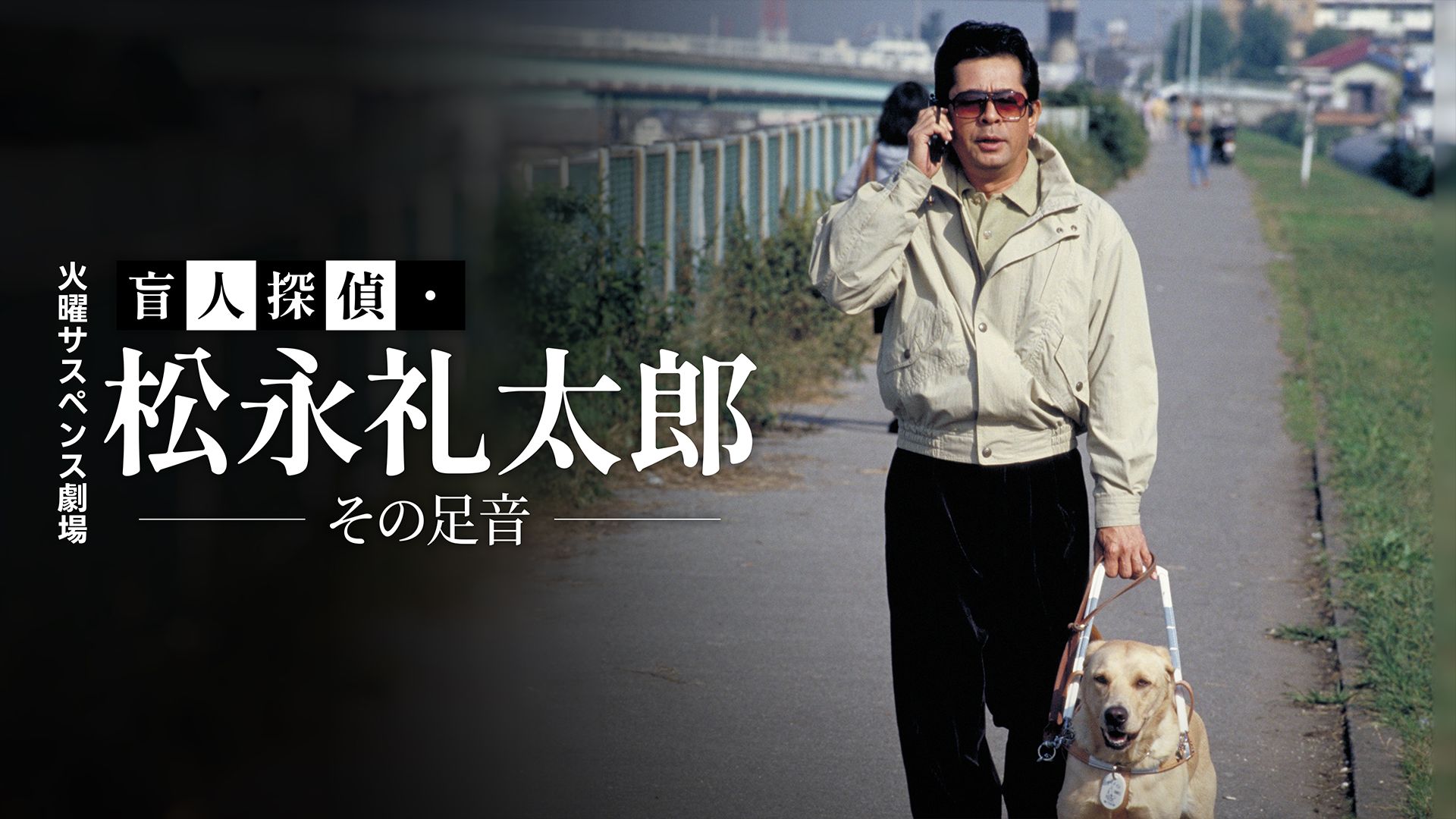 火曜サスペンス劇場 盲人探偵・松永礼太郎 その足音