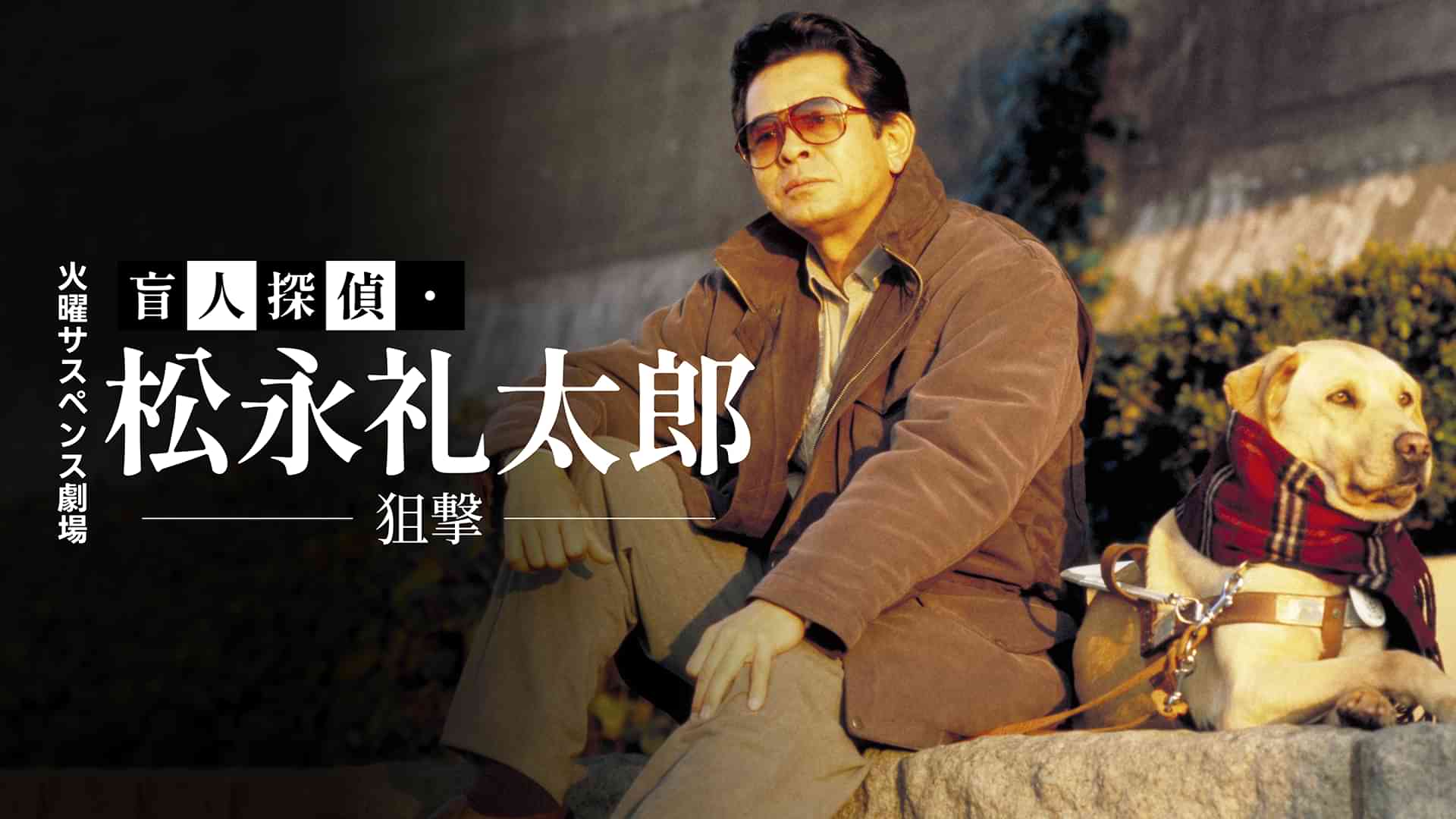 火曜サスペンス劇場 盲人探偵・松永礼太郎 狙撃