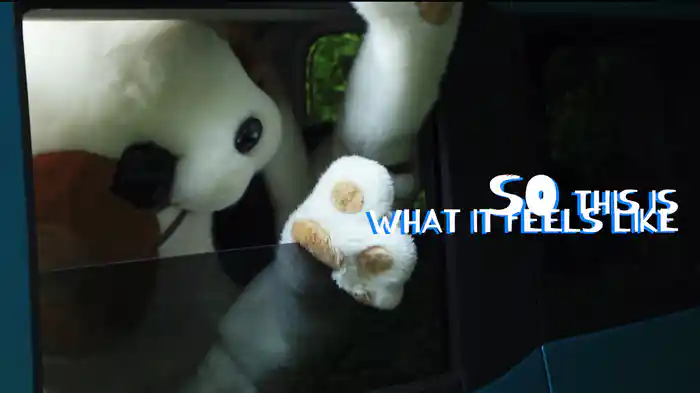 So this is what it feels like....