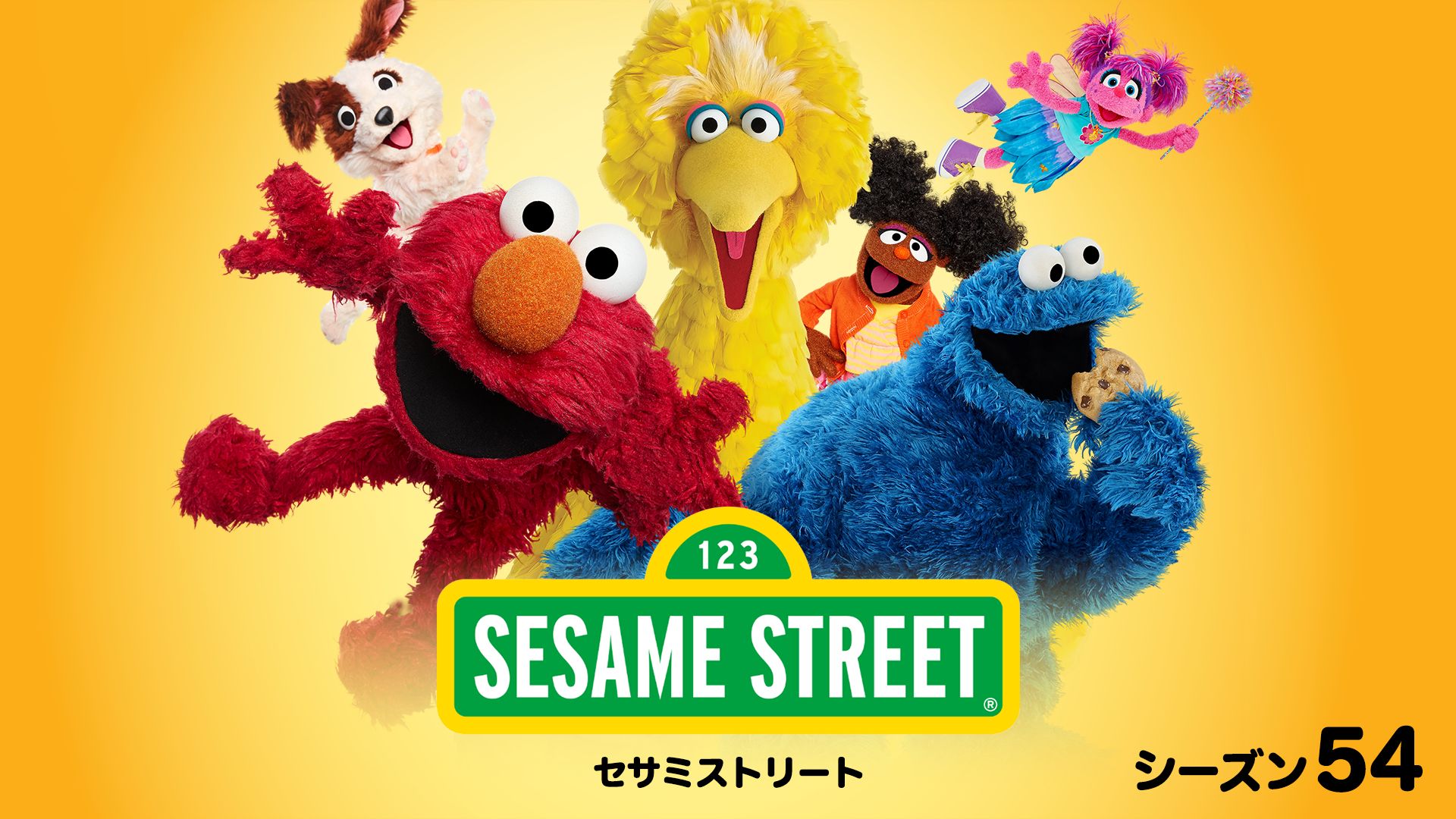 セサミストリート シーズン54