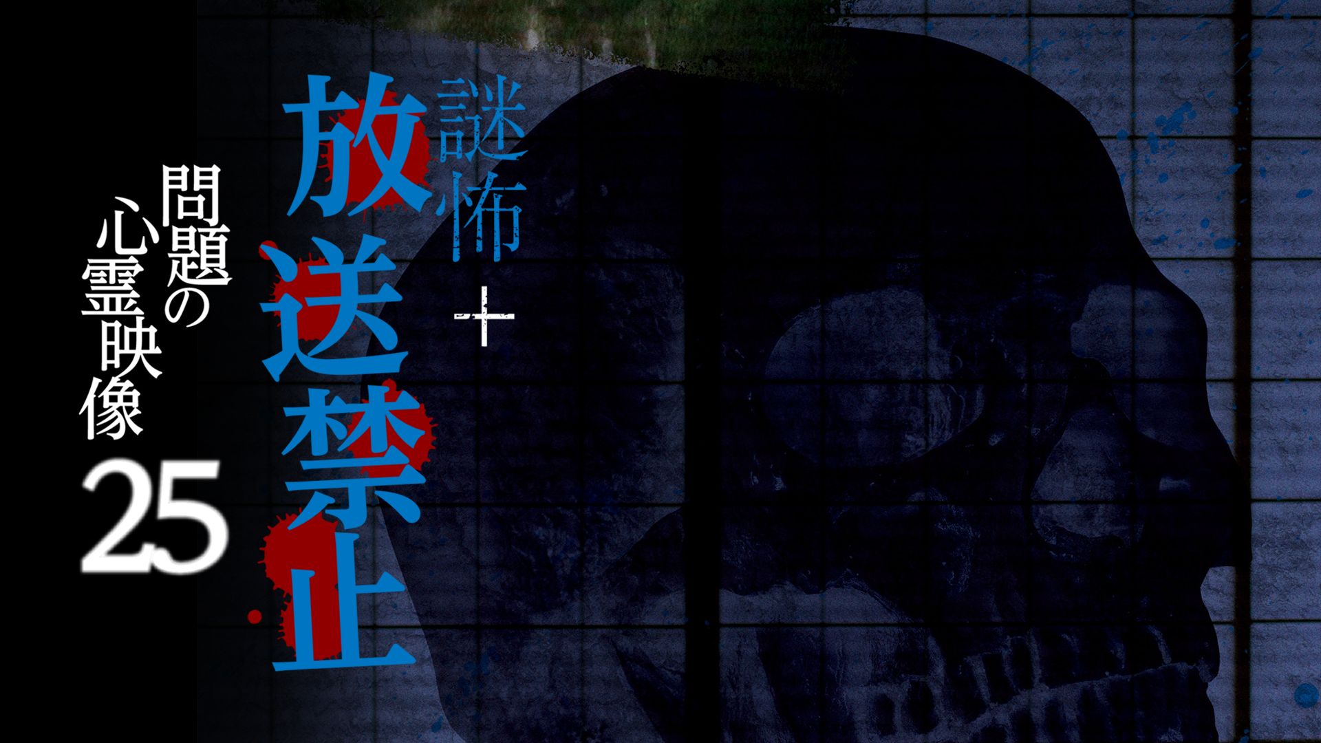 謎怖+ 放送禁止 問題の心霊映像25