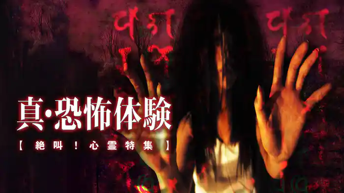 真・恐怖体験　絶叫！心霊特集